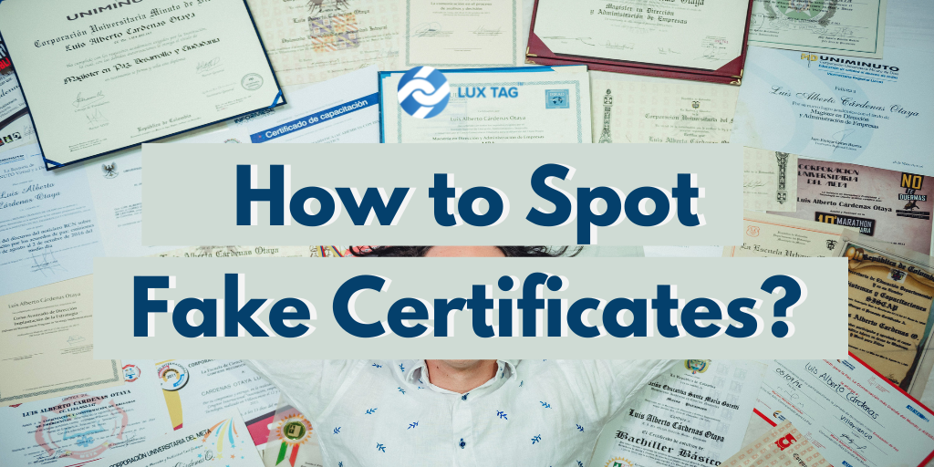 How Fake ISO Certificates Damage Brands, Contracts, and Compliance, Real Case Lessons